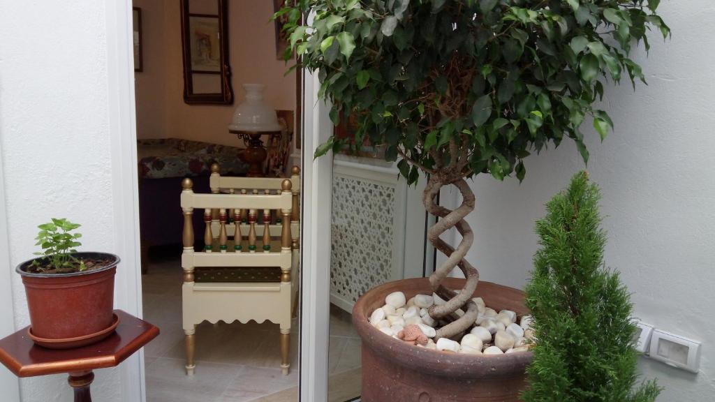 El Patio Courtyard House
