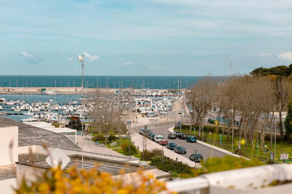 Aura Maris - 4