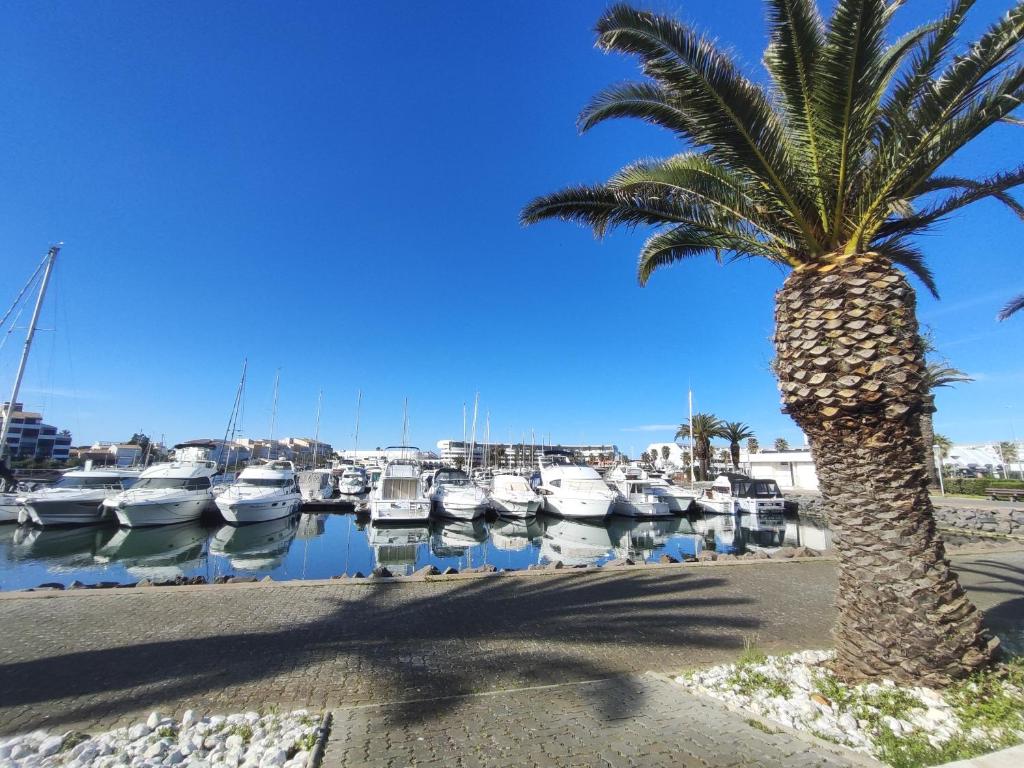 Studio 659, Port Nature 6 au village naturiste - 5