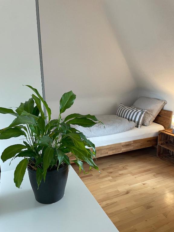 Giebelglück - 3 Zimmer, direkt an der UniKlinik, 2 Schlafzimmer, 4 Gäste, WLAN - 4