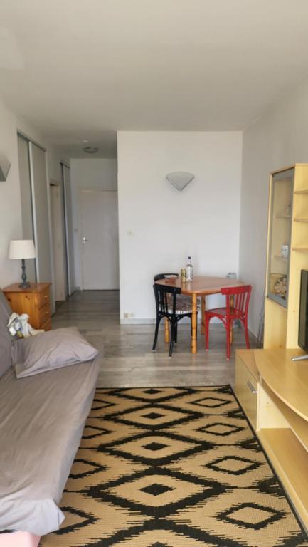 Appartement N1 F1 vue mer Route des Sanguinaires - 5