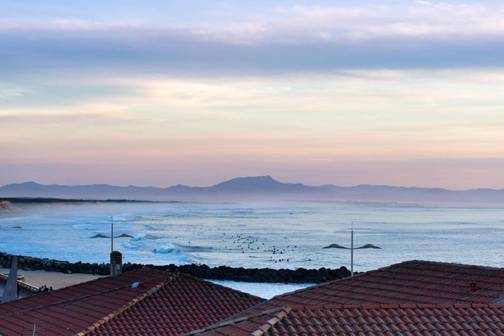 Atlantic Selection - Bleu Horizon - Sunset avec Vue Océan - 5