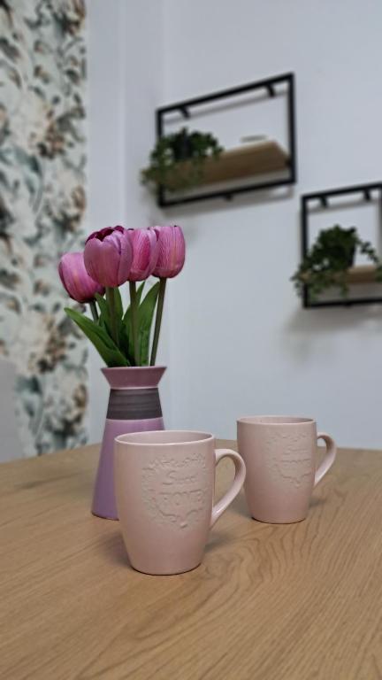 Apartman sa garažom i internetom - 5