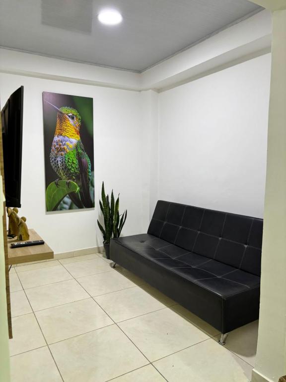 Apartamento Colibrí en Armenia - 3