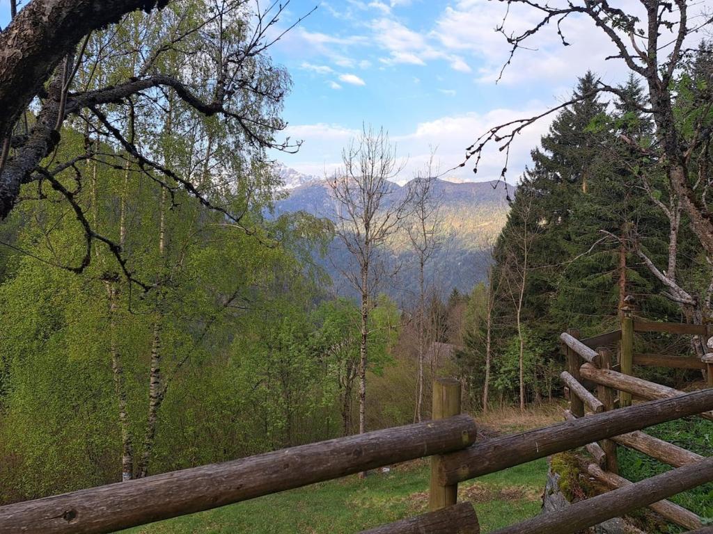 La Casa nel Bosco - 3