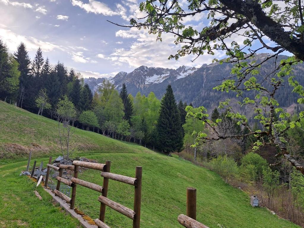 La Casa nel Bosco - 4