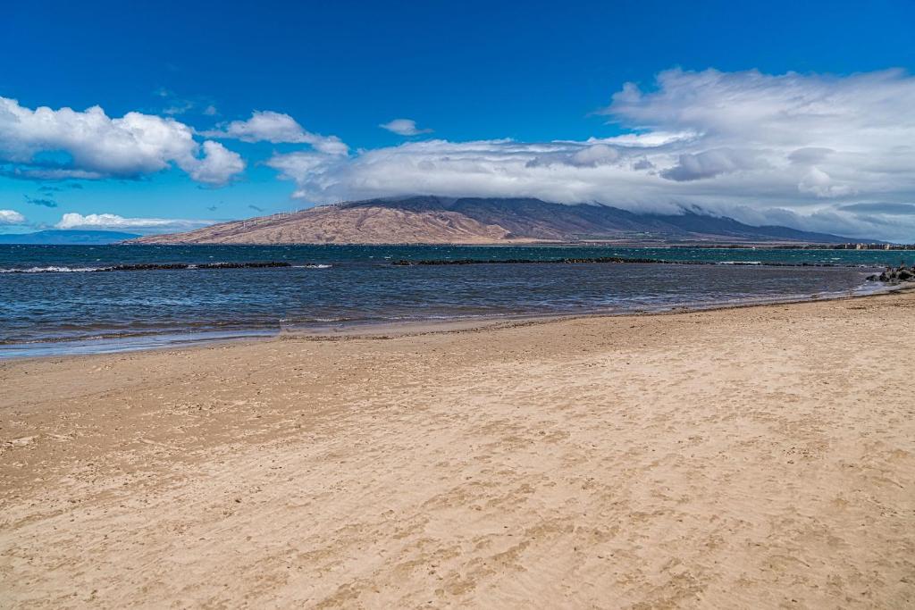 Kihei Bay Vista C-201 내부