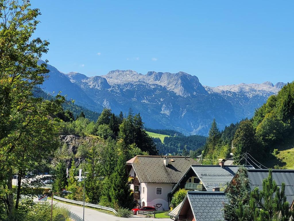 Landhaus Schwaighofer Dachstein West - 2