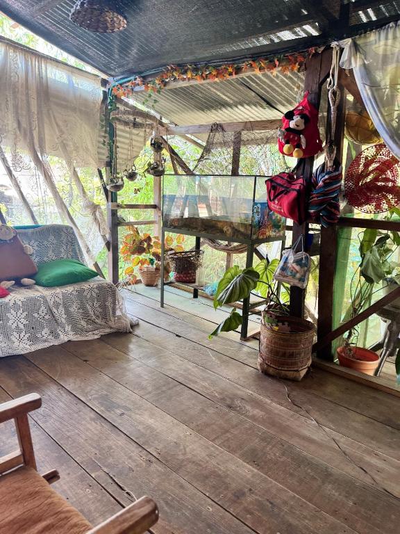 Maiku Amazonas - 4
