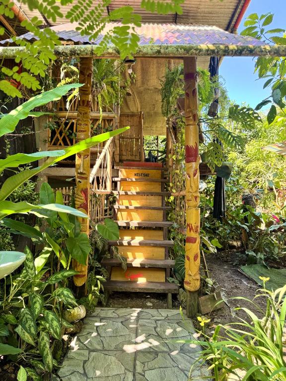Maiku Amazonas - 3