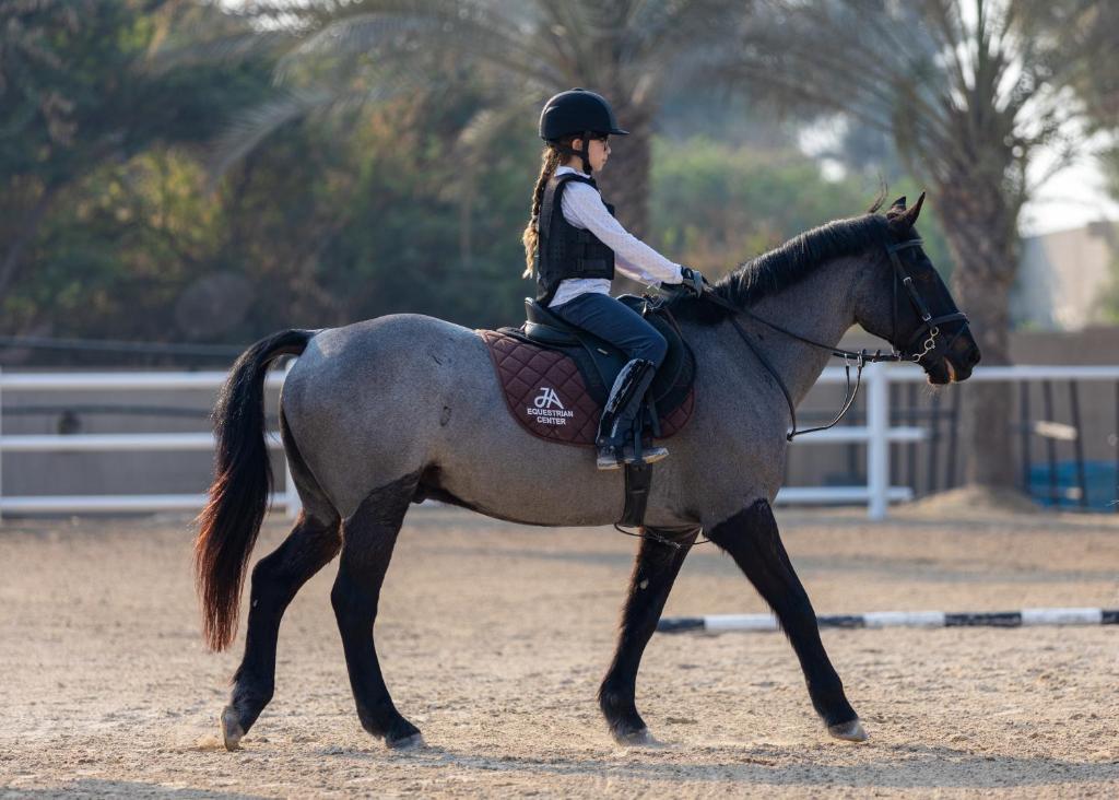 Horseback riding