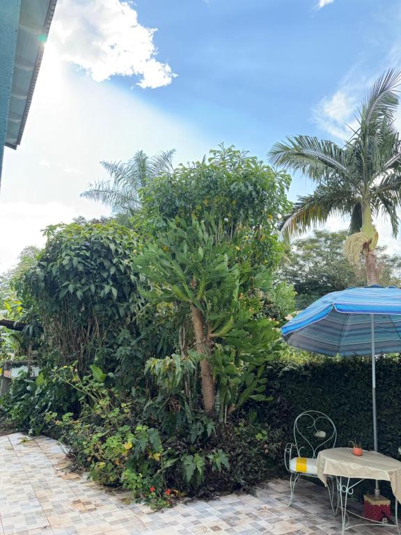 Apart Pequeño Loft con piscina compartida en Cataratas para 2 personas - 2