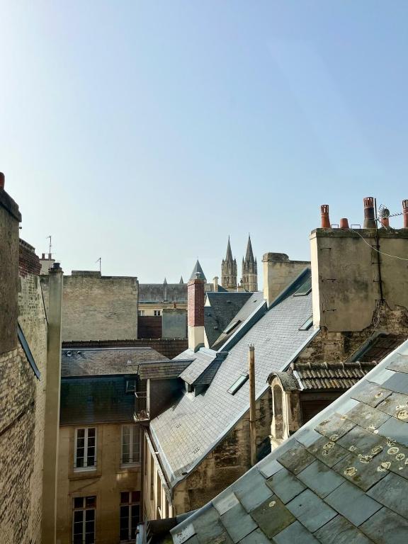 Charmant Duplex vue sur la place St Sauveur - 5