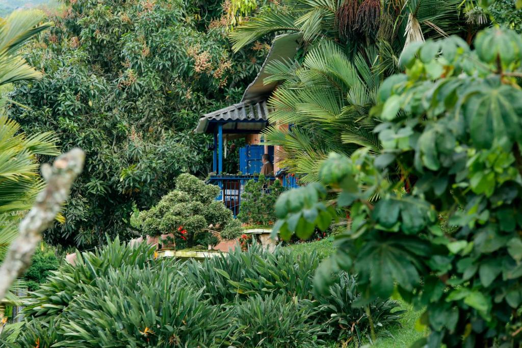 Finca Romelia Orchids and Birds - 2