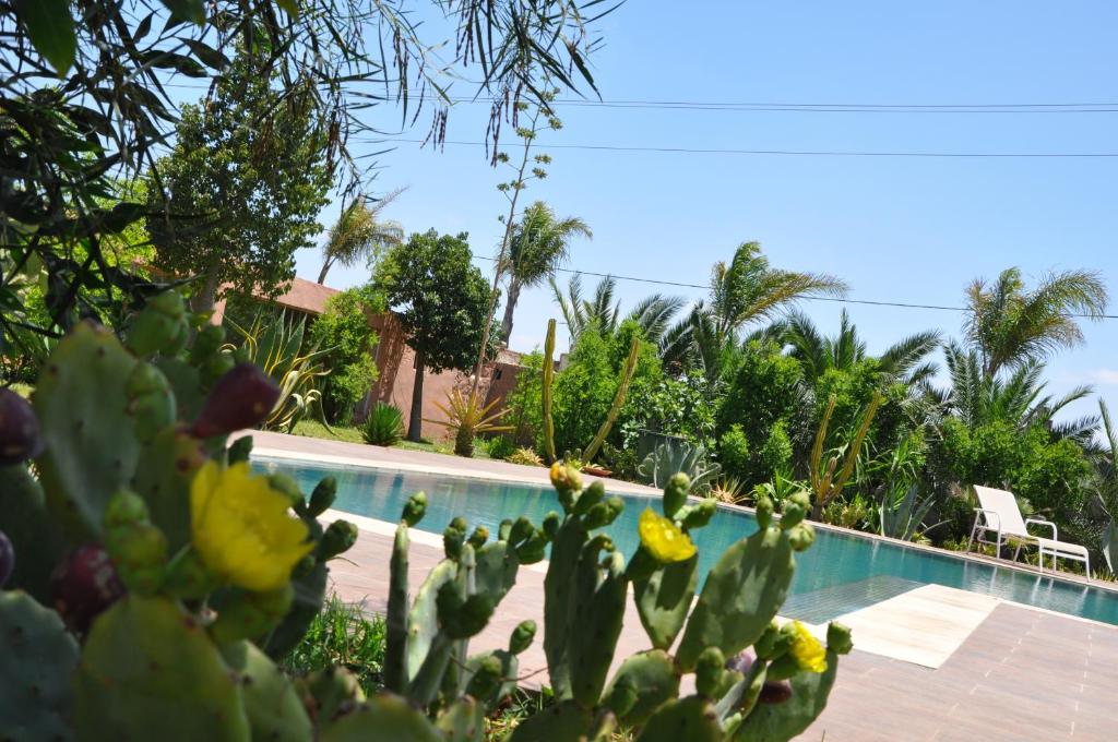 Riad Hamdani photo