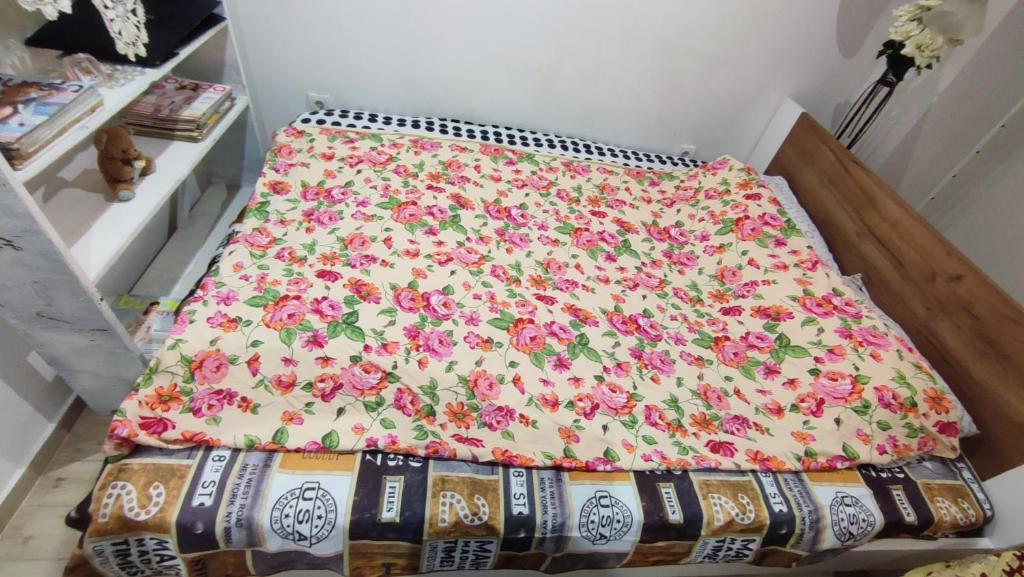 Belgrade apartment deluxe - 1