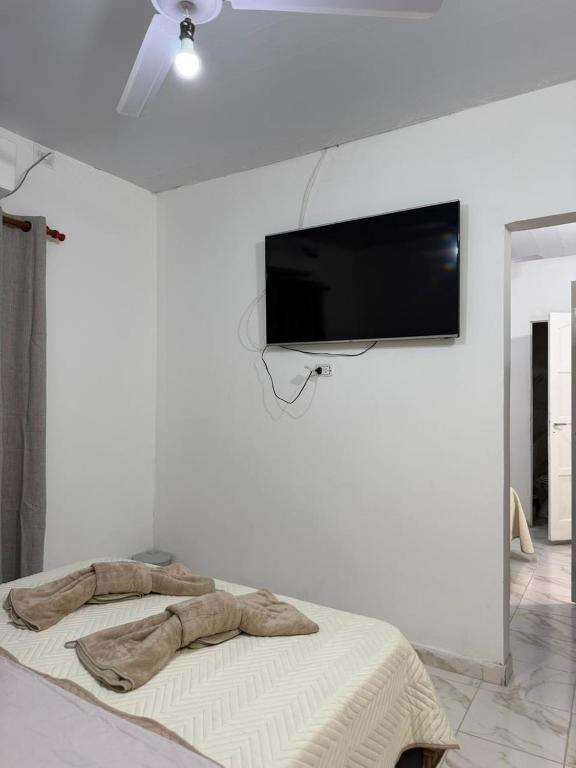 Hosteria Mi Cati - 2