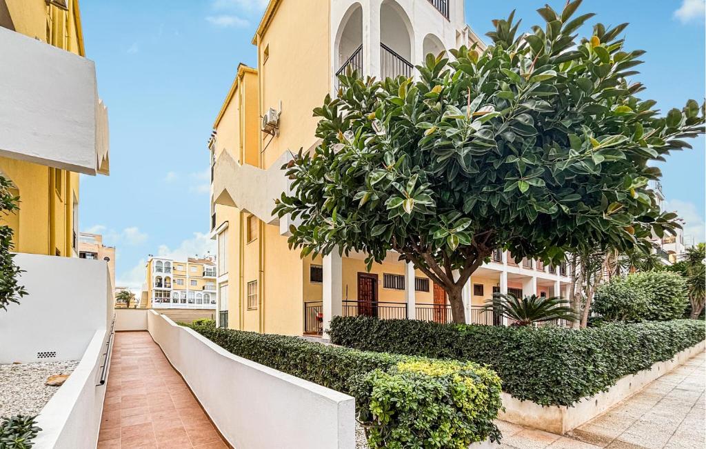 Pet Friendly Apartment In Torrevieja With Wifi - 1
