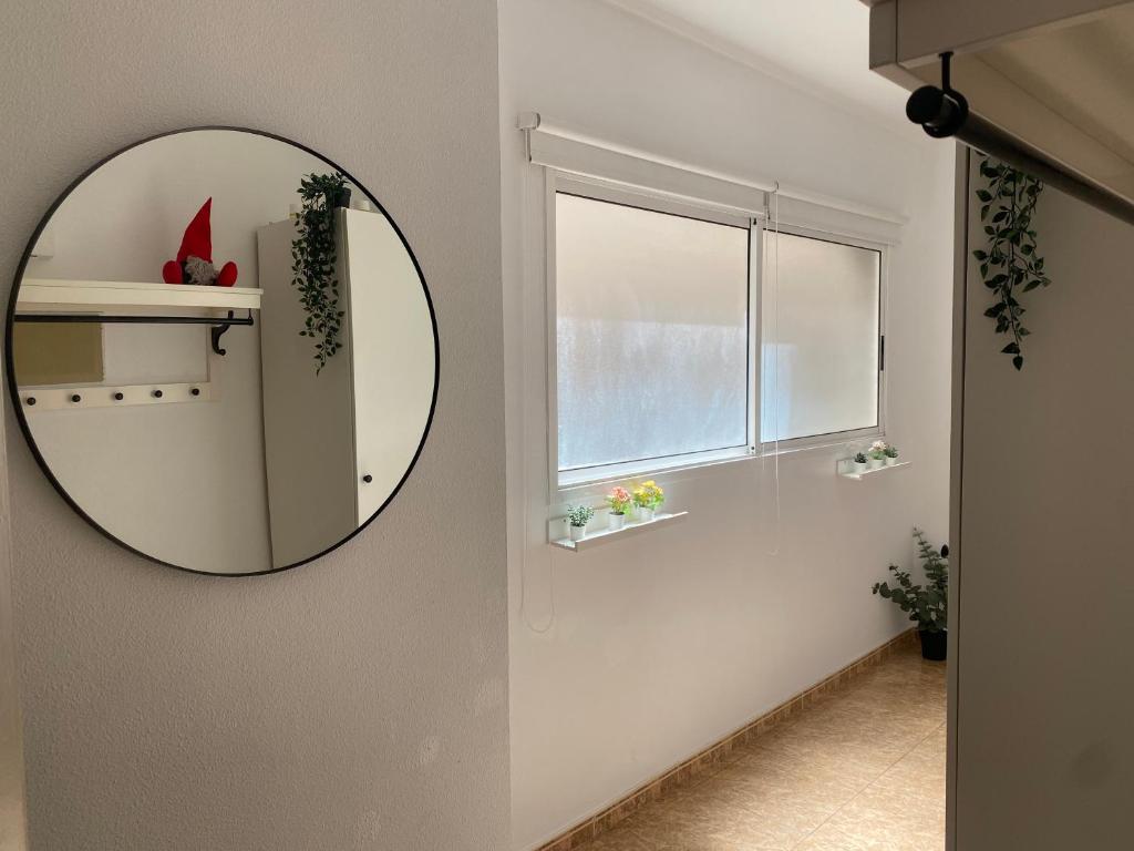 Central Apartment in La Laguna - 2
