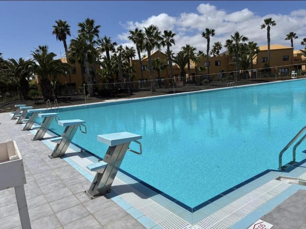 Home2Book Breezy Palm View Duplex with Pool - 4