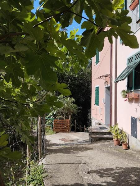 La casetta rosa - 2