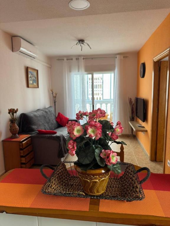 Apartment Vicente casa 119 - 2