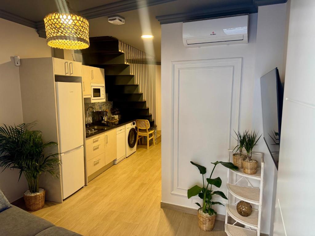 Biznaga Apartamentos 2A - 3