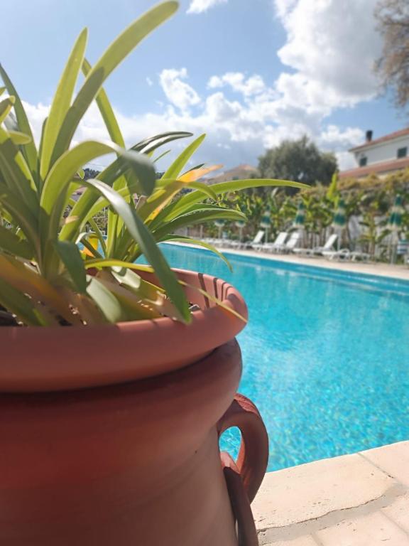 Residenza Al Borgo - 1