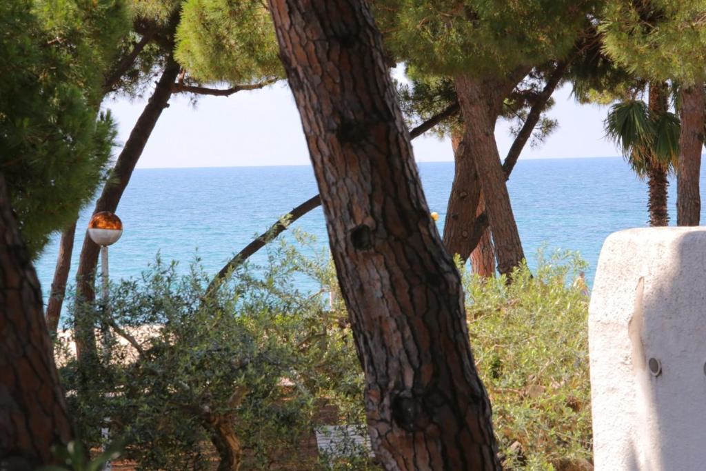 VILLA SA CALMA - Only families - 4