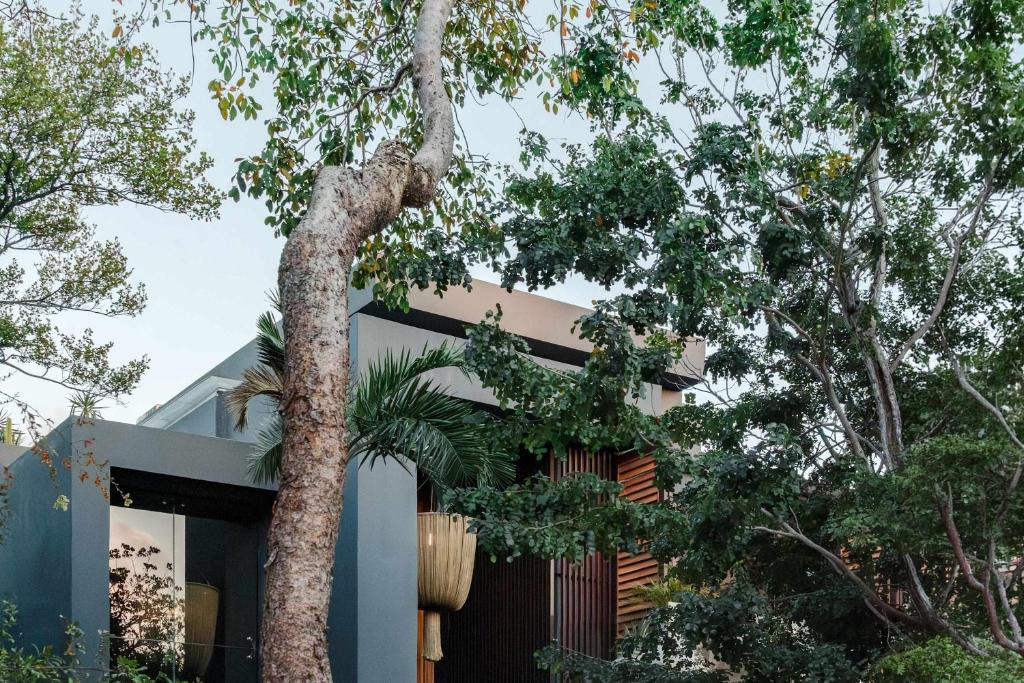 Luxury Jungle Villa with Private Pool & Jacuzzi - 1