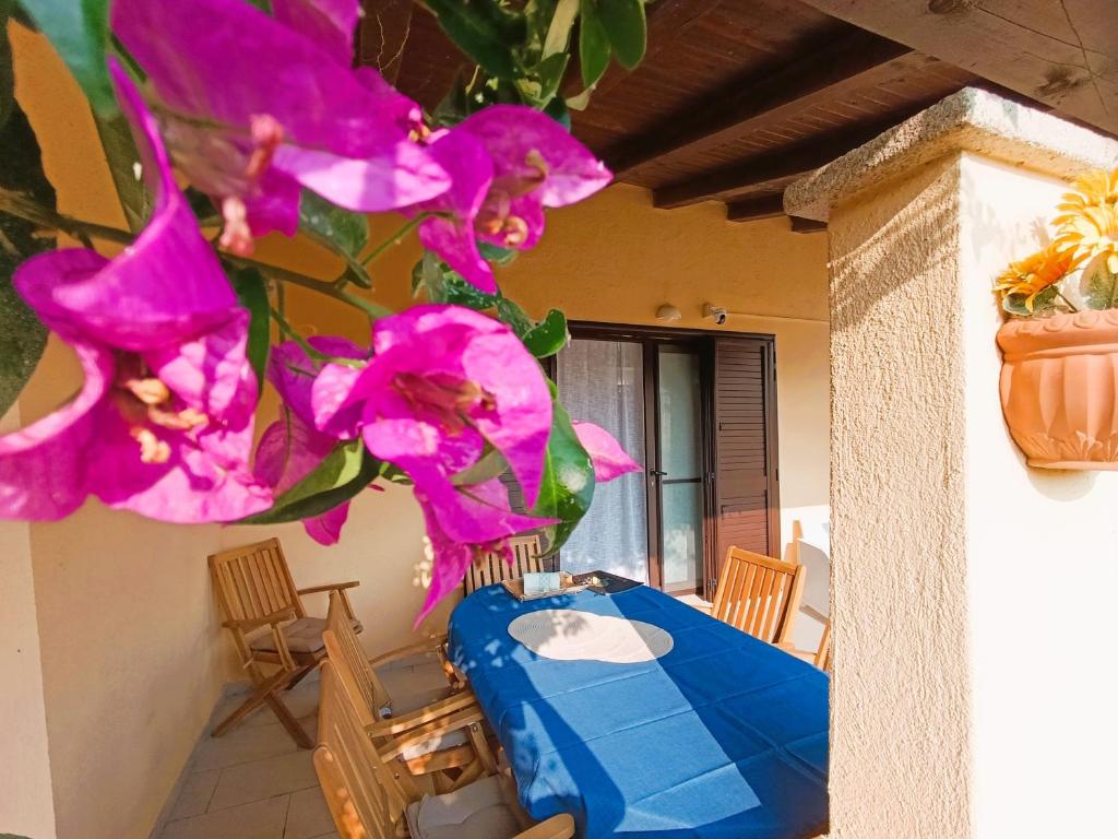 Casa Schulzini - 2