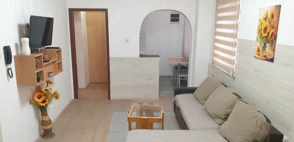 city center apartment 1 - 1