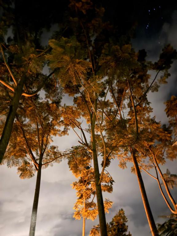 Cabaña la Arboleda - 2