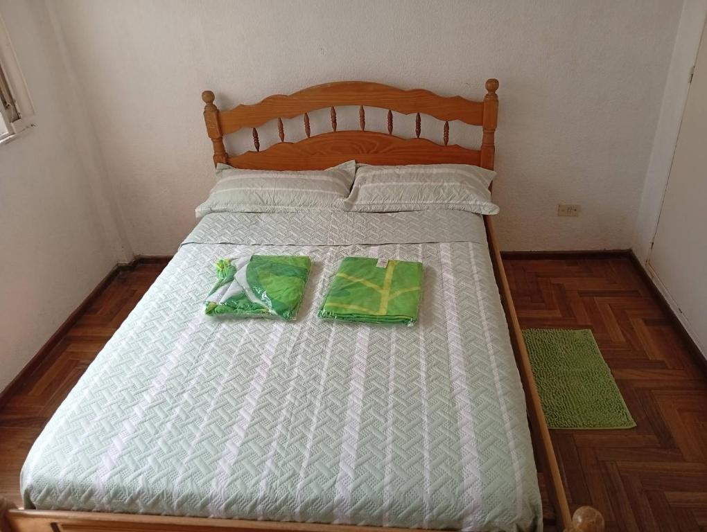 departamento zona centro - 2