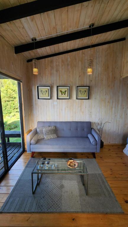 Loft Puro Ranco - 4