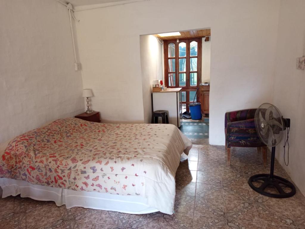 Casa Pueblo - 2