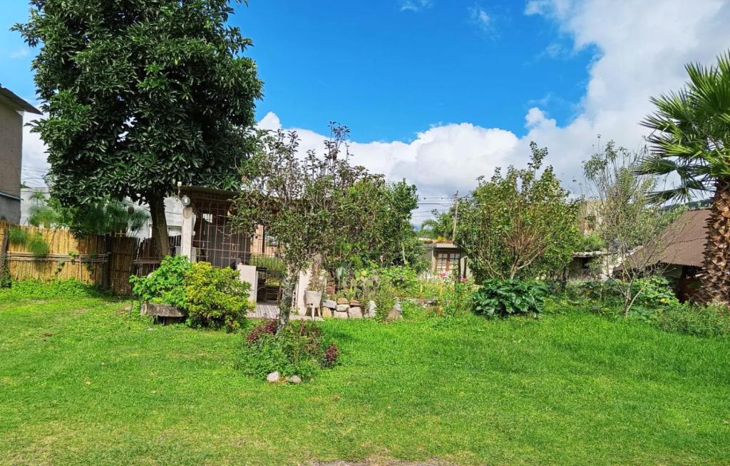 Casa Pueblo - 3
