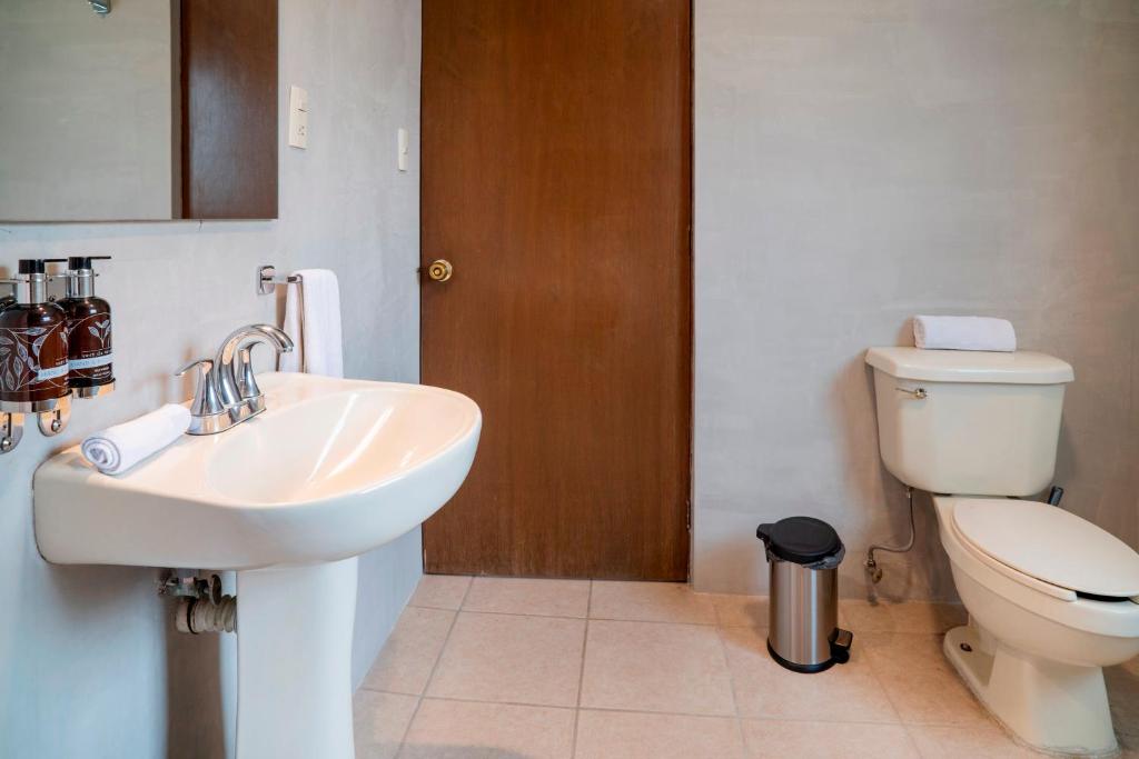 COMPLEJO PORFIRIO · Two Houses Seven Bedroom Group Retreat - 3