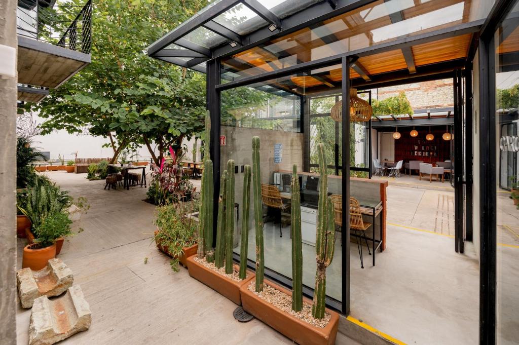 GARCIA 3 · Spacious four Bedroom apt with Garden - 5