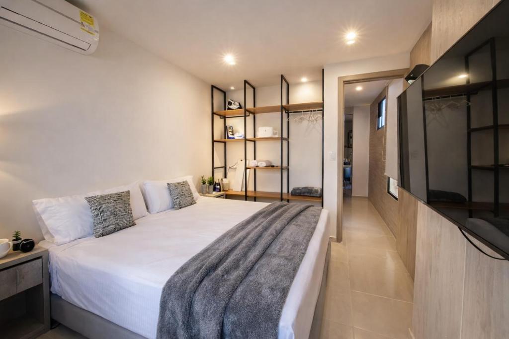 Apartaestudio Shanty tipo 1 - 1