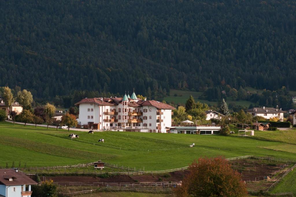 Hotel Rosa Resort photo