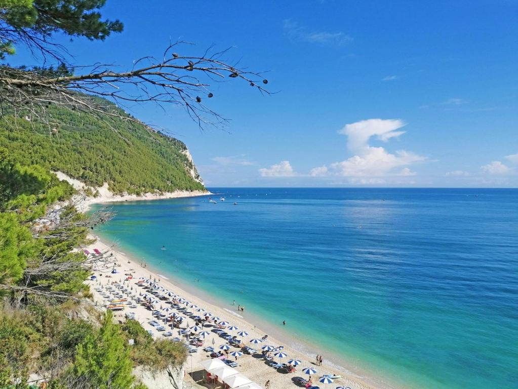 882 - Appartamento molocale in centro a Sirolo con aria condizionata, ottima posizione - - SPIAGGIA WHITE BEACH CLUB OMAGGIO dal lun al ven FINO AL 02-08 - 5