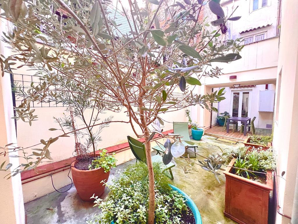 Courtyard 23 - 2