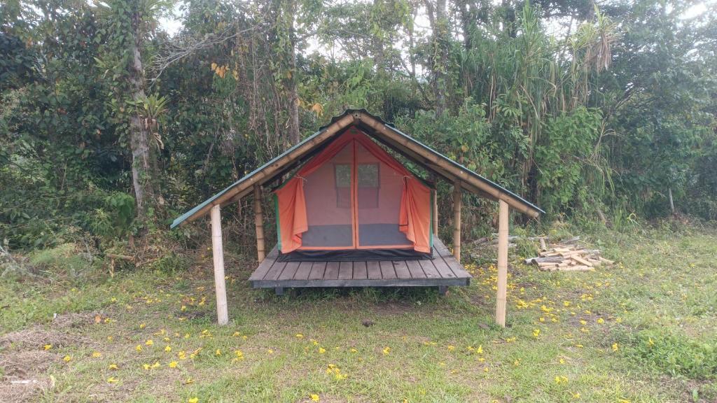 ECOXPLORA-Zona de camping - 2