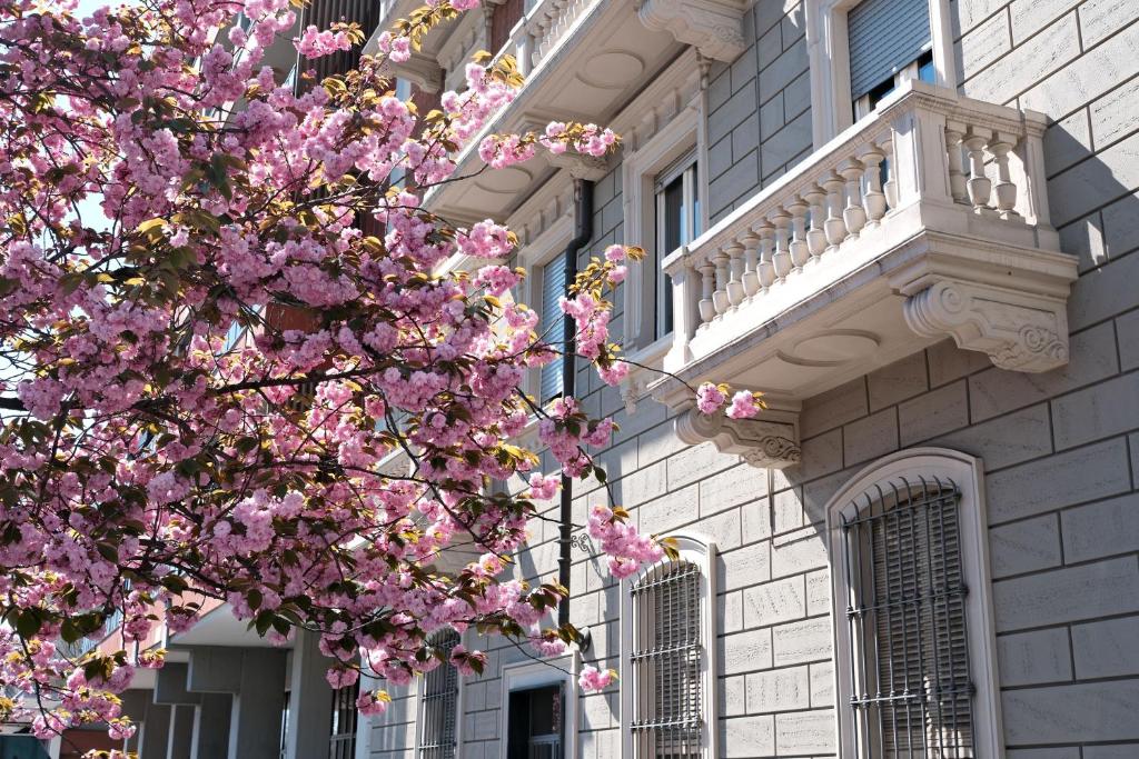 Casa D'Azeglio 116 - 3