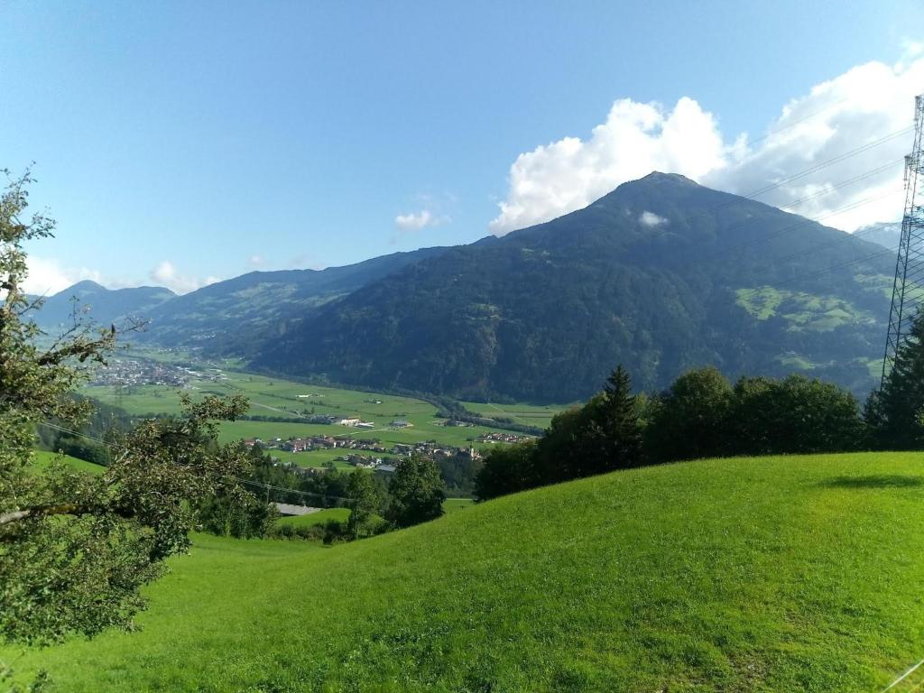 Wieshof - 5