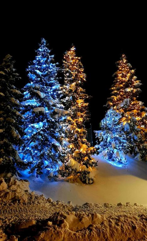 Studio - Snow 917 - 2 adults 2 children - 5