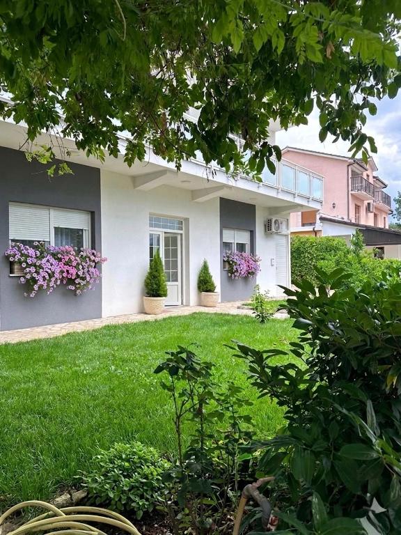 Apartmani Novak - 1