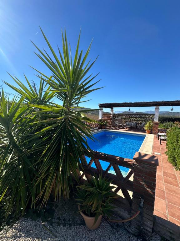 Villa Azafran - 1