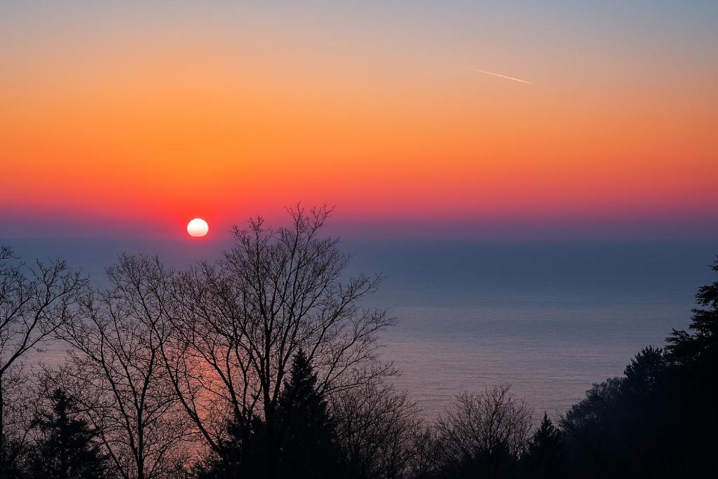 ApartVilla Trieste - 1